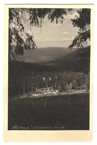 AK, Bad Wurzelsdorf Isergeb., Kořenov, Waldbaude, Echtfoto, 1944