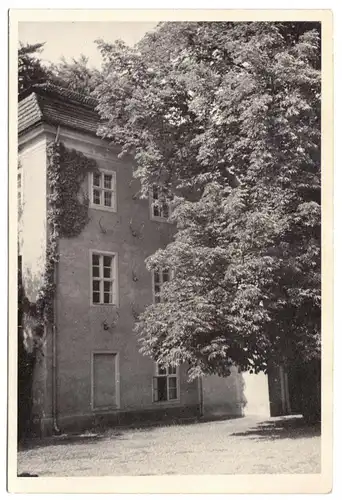 zwei Echtfotos, Berlin Grunewald, Jagdschloß Grunewald, um 1940