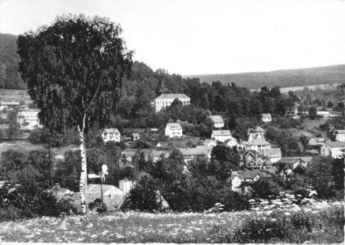 AK, Heilbad Brückenau - Stadt, Blick zum Biologischen Sanatorium, 1960