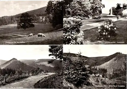 Lot von 18 AK, Friedrichroda Thür. Wald, 1963 - 1988