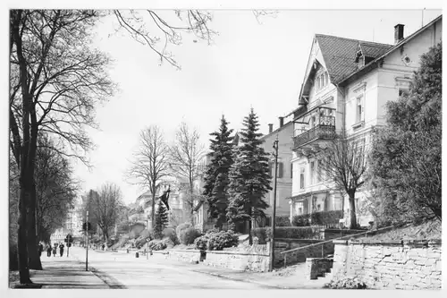 AK, Bad Elster, Villen in der Bahnhofstr., 1960