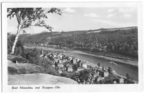 AK, Blick auf Bad Schandau und Krippen, 1955