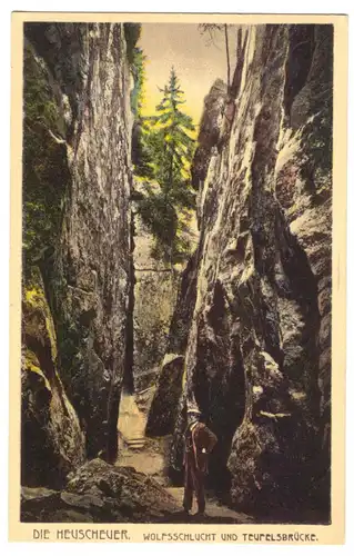 AK, Heuscheuer, Wolfsschlucht u. Teufelsbrücke, um 1929