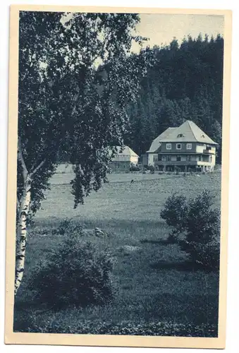 AK, Hirschberg Schles., Jelenia Góra, Grünbuschbaude, 1929