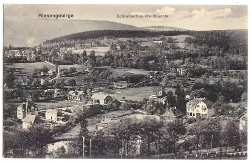 AK, Schreiberhau - Weißbachtal Riesengeb., Teilansicht, 1917