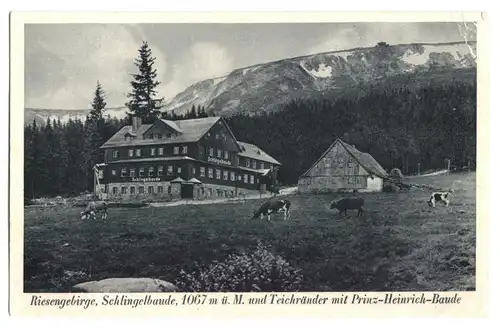 AK, Riesengebirge, Schlingelbaude, 1929