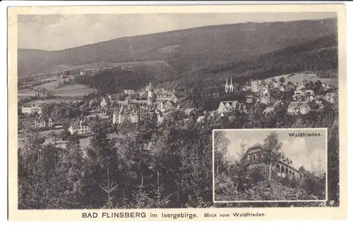 AK, Bad Flinsberg Isergeb., Totale u. Waldfrieden, 1924