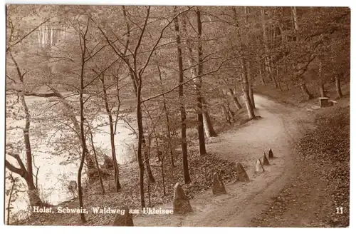 AK, Malente-Gremsmühlen, Waldweg am Ukeleisee, 1927