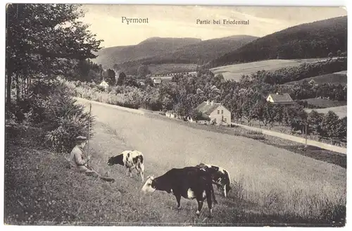 AK, Bad Pyrmont, Partie im Friedental mit Kuhhirten, um 1908