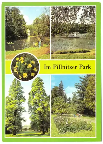 AK, Dresden, Im Pillnitzer Park, fünf Abb., 1986
