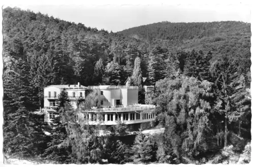 AK, Bergzabern a.d. Weinstr., Parkhotel, um 1960