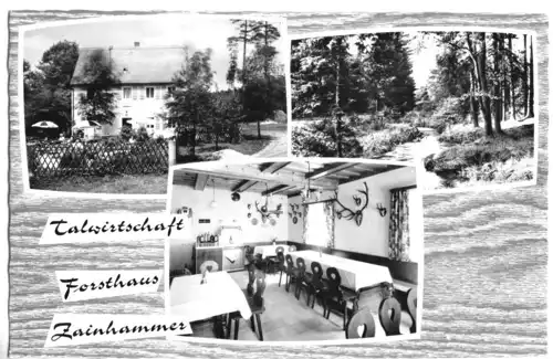 AK, Zainhammer, Talwirtschaft Forsthaus Zainhammer, drei Abb., um 1962