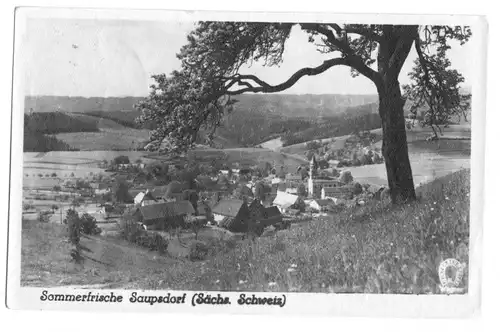 AK, Saupsdorf Sächs. Schweiz, Gesamtansicht, 1956, Echtfoto