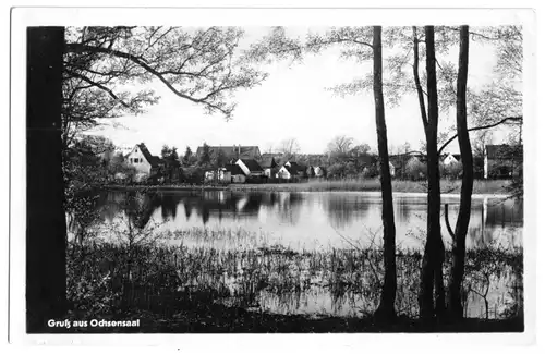 AK, Ochsensaal, Teilansicht mit See, 1954