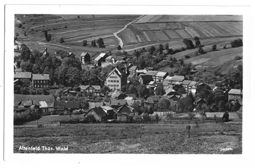 AK, Altenfeld Thür. Wald, Gesamtansicht, 1954