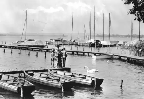 AK, Diensdorf am Scharmützelsee, Steganlagen mit Booten, 1974