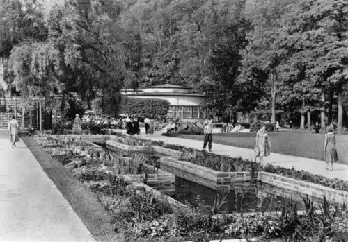 AK, Bad Elster Vogtl., Goldfischbassin im Kurpark und HO-Bade-Café, 1966