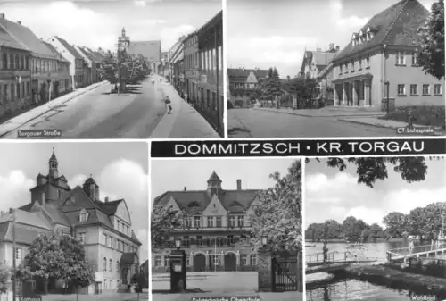 AK, Dommitzsch Kr. Torgau, fünf Abb., 1984
