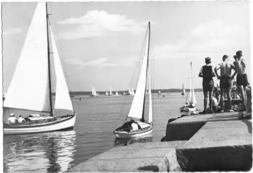 AK, Greifswald - Wieck, Boddenpartie mit Segelbooten, 1962