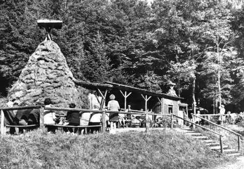 AK, Wernigerode Harz, Köhlerhütten bei Voigtstieg, belebt, 1980