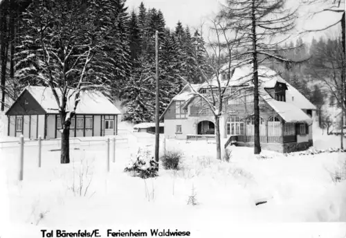 AK, Kurort Bärenfels Osterzgeb., Ferienheim Waldwiese, Winteransicht, 1969