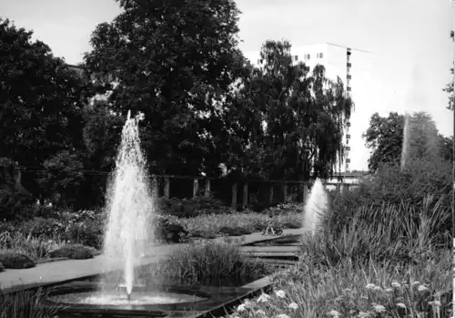 AK, Potsdam, Freundschaftsinsel, Staudengarten mit Springbrunnen, 1967