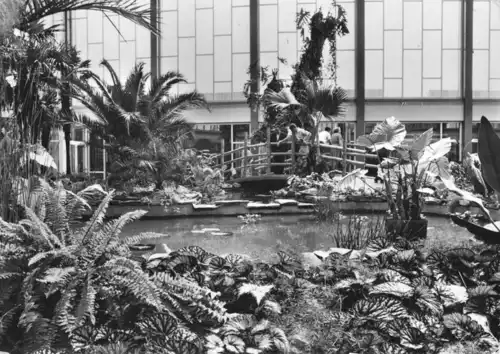 AK, Berlin Friedrichsfelde, Tierpark, Alfred-Brehm-Haus, Tropenhalle V. 1, 1967