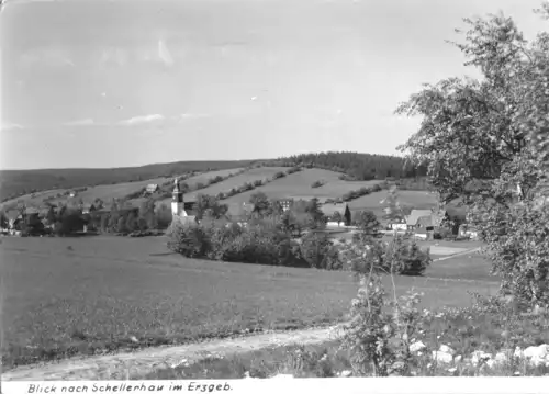 AK, Schellerhau Erzgeb., Teilansicht 1, 1975