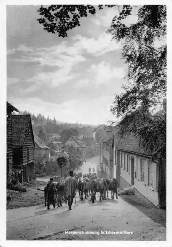 AK, Schierke Harz, Straße in Morgenstimmung, 1951