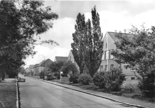 AK, Bernburg Saale, Mitschurinstr., 1965