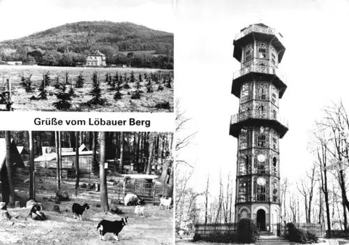 AK, Löbau Sachs., Grüße vom Löbauer Berg, drei Abb., 1981