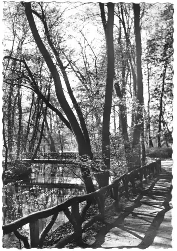 AK, Weimar, Parkpartie an der Naturbrücke, 1963