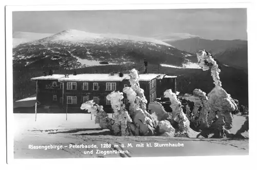 AK, Hain i. Rsgb.,  Podgórz, Peterbaude mit Kl. Sturmhaube, Winterans., um 1938