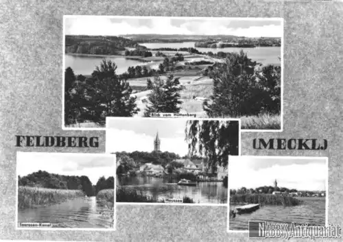 AK, Feldberg Meckl., vier Abb., gestaltet, 1966