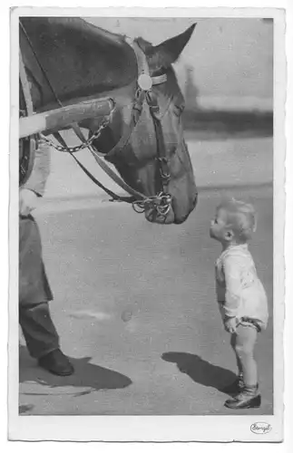Ansichtskarte, Pferde, Kleiner Junge und Pferd, um 1950
