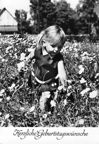 Ansichtskarte, Geburtstag, kleines Mädchen auf Blumenwiese, 1981