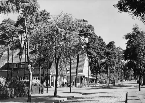 AK, Blankenfelde bei Berlin, Erich-Klausener-Str., 1975