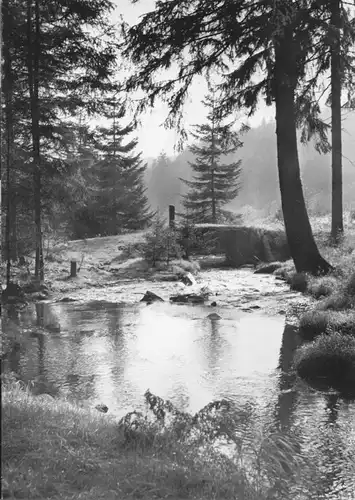 AK, Ehrenfriedersdorf Erzgeb., Greifensteine, Im Greifenbachtal, 1961