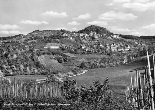 AK, Löwenstein, Gesamtansicht, um 1970