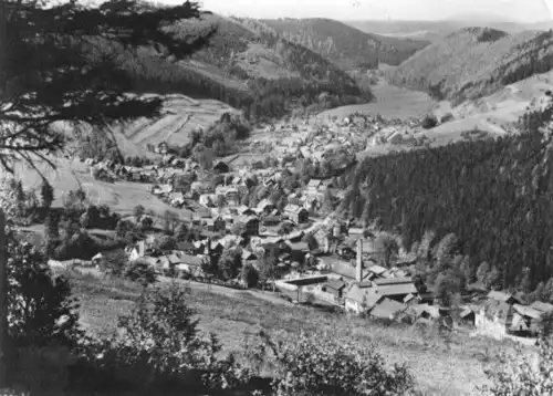 AK, Schönbrunn Thür. Wald, Teilansicht, 1968