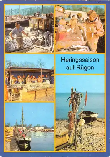 AK, Insel Rügen, Heringsfang auf Rügen, fünf Abb., 1988