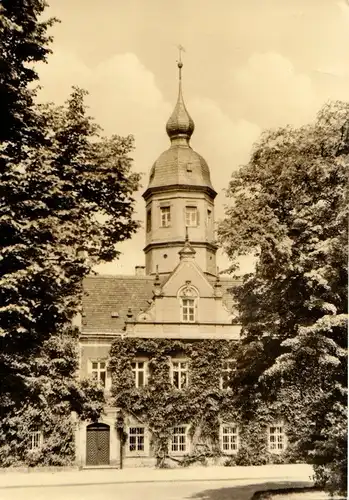 AK, Riesa Elbe, Blick zum Rathaus, 1965