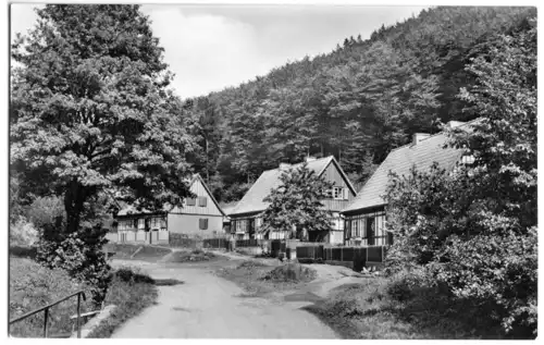 AK, Stolberg Harz, Straßenpartie im Zechental, 1965