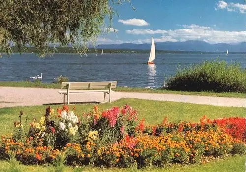 AK, Tutzing am Starnberger See, Brahmspromenade mit Benediktenwand, um 1965