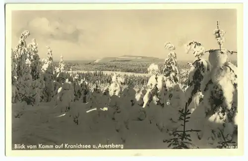AK, Johanngeorgenstadt, winterliches Motiv im Auersberggebiet, 1938