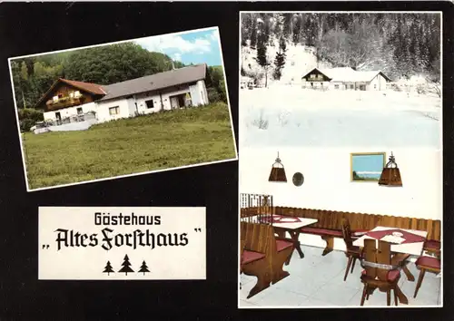 AK, Bodenmais Bayer. Wald, Gästehaus "Altes Forsthaus", drei Abb., um 1979