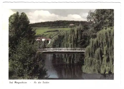 AK, Bad Mergentheim, Tauberpartie mit moderner Brücke, 1955
