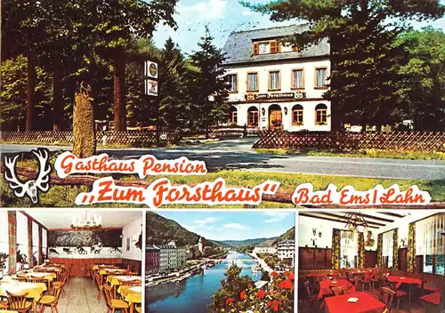 AK, Bad Ems Lahn, Gasthaus - Pension "Zum Forsthaus", vier Abb., 1977