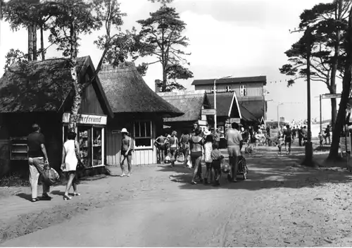 AK, Ostseebad Prerow Darss, Weg zum Strand, belebt, 1981