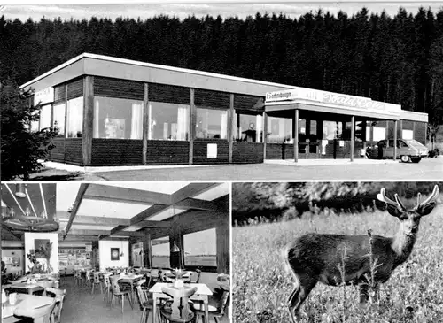 AK, Bad Marienberg, Waldcafé am Wildpark, drei Abb., um 1970
